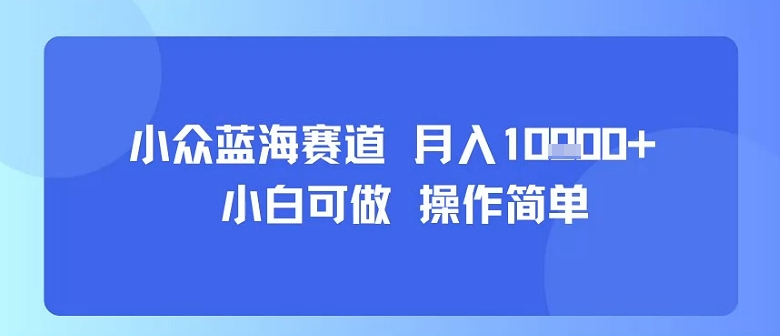 小众蓝海赛道，小白可做，操作简单，每天30分钟，月入1W+-恒创联盟资源网