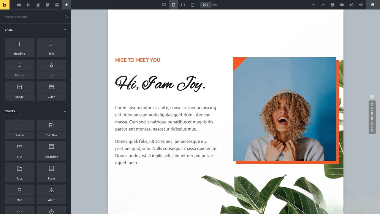 WordPress主题Bricks v1.9 破解版-恒创联盟资源网