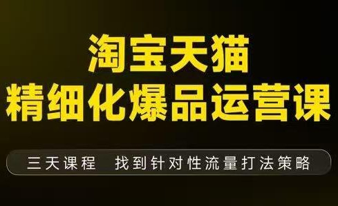 猫课子幽·淘宝天猫精细化爆品运营【音频+字幕+文档】(9月12-14杭州线下课)-恒创联盟资源网