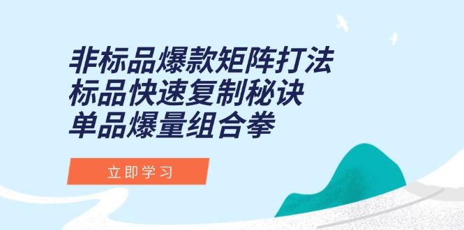 非标品爆款矩阵打法，标品快速复制秘诀，单品爆量组合拳-恒创联盟资源网