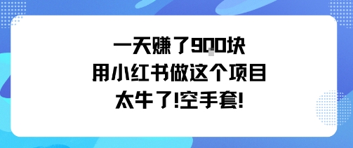 一天挣了9张用小红书做这个项目太牛了，空手套-恒创联盟资源网