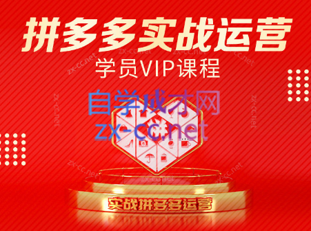 推易电商·拼多多实战运营课(更新2025月)-恒创联盟资源网
