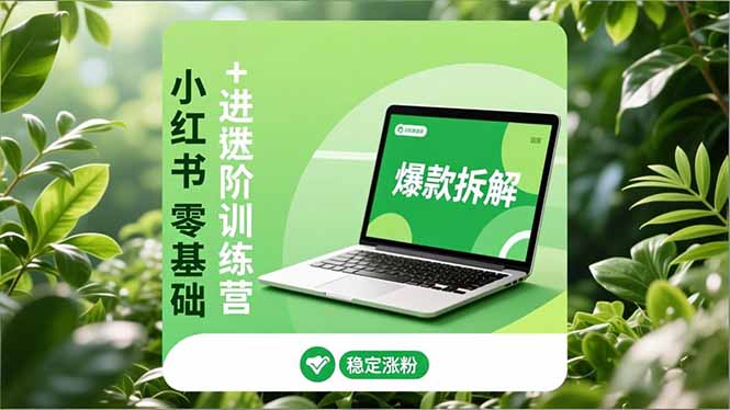 小红书零基础+高阶训练营：安全养号、爆款拆解、长效运营，实现稳定涨粉与变现-恒创联盟资源网
