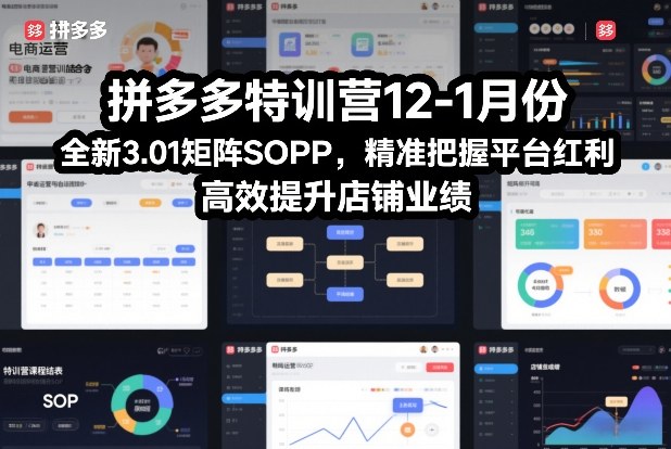 拼多多特训营12-1月份，全新3.01矩阵Sop，精准把握平台红利，高效提升店铺业绩-恒创联盟资源网