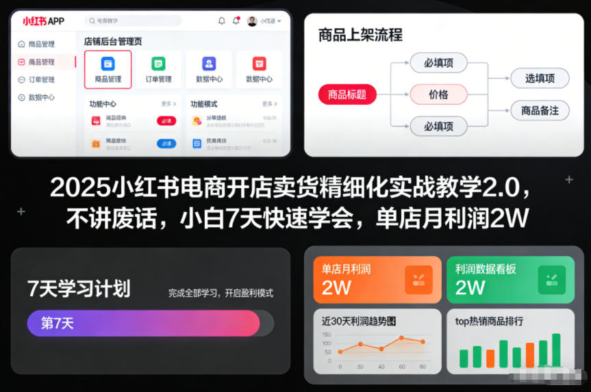 2025小红书电商开店卖货精细化实战教学2.0,不讲废话,小白7天快速学会,单店月利润2W-恒创联盟资源网