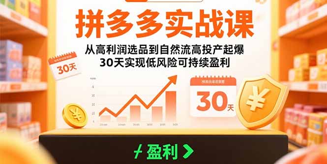 拼多多实战课：从高利润选品到自然流高投产起爆 30天实现低风险可持续盈利-恒创联盟资源网