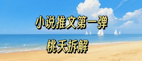 小说推文项目操作全流程第一弹,0粉就能做,门槛低非常适合新手-恒创联盟资源网