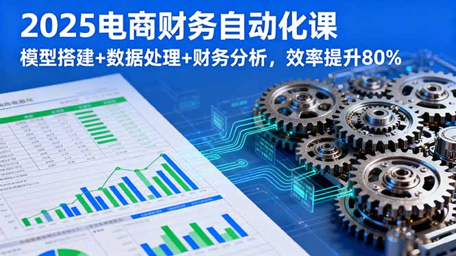 2025电商财务自动化课，模型搭建+数据处理+财务分析，效率提升80%-恒创联盟资源网