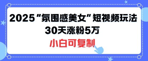 不露脸也能火！2025“氛围感美女”短视频玩法，30天涨粉5W小白可复制-恒创联盟资源网