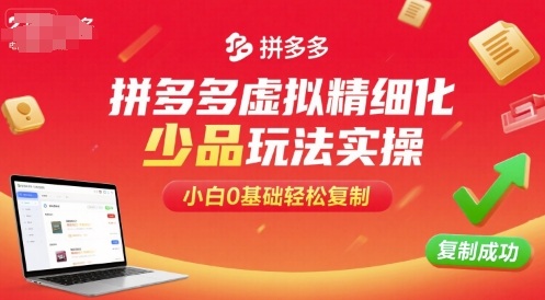 拼多多虚拟精细化少品玩法实操,小白0基础轻松复制-恒创联盟资源网