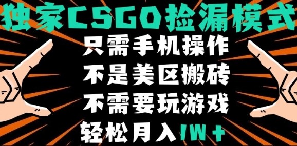 CSGO自动捡漏项目，最新独家玩法，不是美区搬砖，不需要了解和玩游戏，新手小白轻松月入1W+【揭秘】-恒创联盟资源网