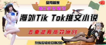 海外tiktok小说推文暴力项目，高停留率，高转化率，上手后一天搞顿饭钱不是问题-恒创联盟资源网