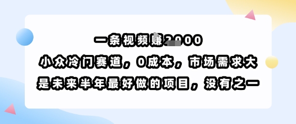 一条视频挣1k，小众冷门赛道，0成本，市场需求大，是未来半年最好做的项目，没有之一-恒创联盟资源网