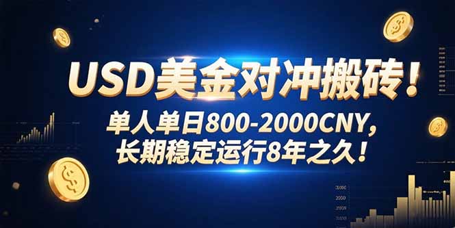 USD美金对冲搬砖!单人单日800-2000CNY，长期稳定运行8年之久!-恒创联盟资源网