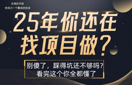25年，你还在疯狂的找项目吗？别傻了，看完这个你都懂了【揭秘】-恒创联盟资源网