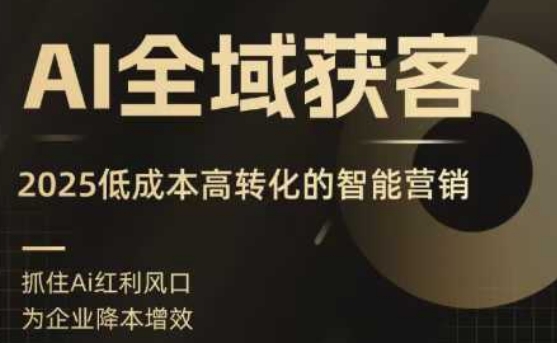 AI全域获客实训营,2025低成本高转化的智能营销,精准找客,高效营销-恒创联盟资源网