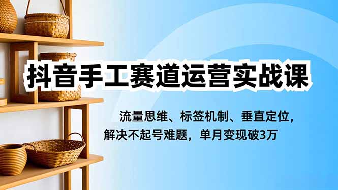 抖音手工赛道运营实战课,流量思维、标签机制、垂直定位,解决不起号难题,单月变现破3万-恒创联盟资源网