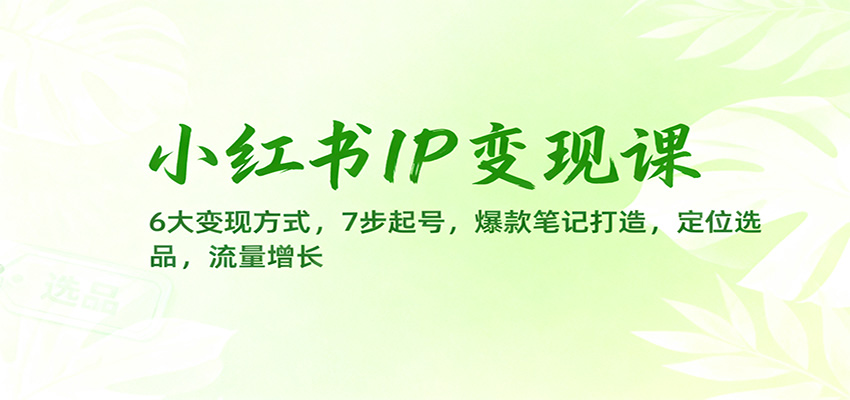 小红书IP变现课:6大变现方式,7步起号,爆款笔记打造,定位选品,流量增长-恒创联盟资源网