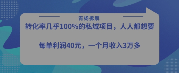 转化率最高的私域项目，每单利润40-50米，月入过1w-恒创联盟资源网