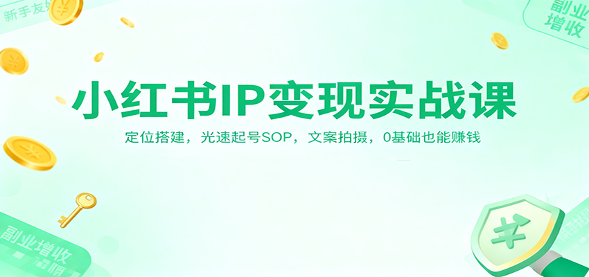 小红书IP变现实战课：定位搭建，光速起号SOP，文案拍摄，0基础也能赚钱-恒创联盟资源网