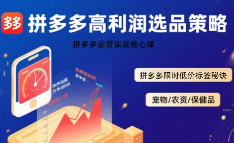 拼多多选品暴利技术实战课，拼多多高利润选品策略，拼多多限时低价标签秘诀-恒创联盟资源网
