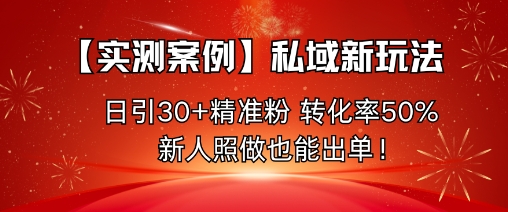 【实测案例】私域新玩法，日引30+精准粉，转化率50%，新人照做也能出单！-恒创联盟资源网