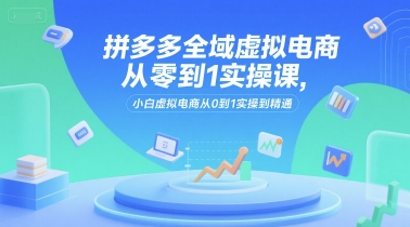 拼多多全域虚拟电商从零到1实操课，小白虚拟电商从0到1实操到精通-恒创联盟资源网
