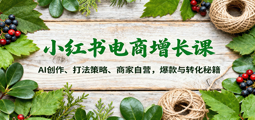 小红书电商增长课：AI创作、打法策略、商家自营，爆款与转化秘籍-恒创联盟资源网