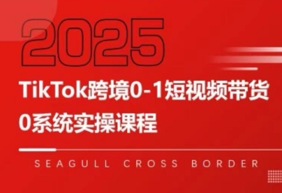 大亿老师·TikTok跨境0-1短视频带货-恒创联盟资源网