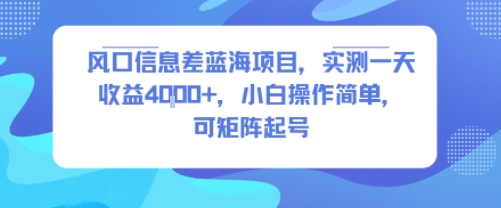 风口信息差蓝海项目,实测一天收益4k+,小白操作简单,可矩阵起号-恒创联盟资源网