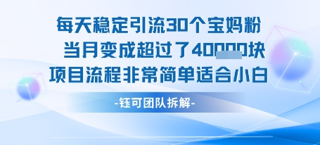 每天稳定引流30个人 当月变成超过了4个W项目流程非常简单适合小白-恒创联盟资源网