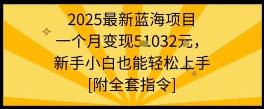 2025最新蓝海项目一个月变现1w+新手小白也能轻松上手【附全套指令】-恒创联盟资源网
