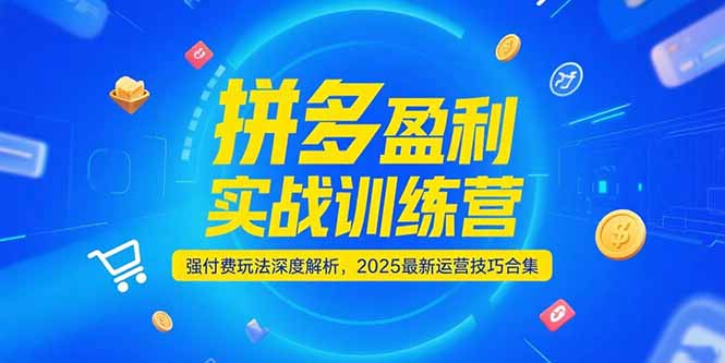 拼多多盈利实战训练营，强付费玩法深度解析，2025运营技巧合集-更新6月-恒创联盟资源网