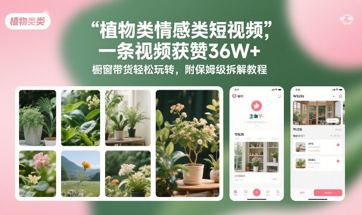 植物类情感类短视频,一条视频获赞36W+,橱窗带货轻松玩转,附保姆级拆解教程-恒创联盟资源网