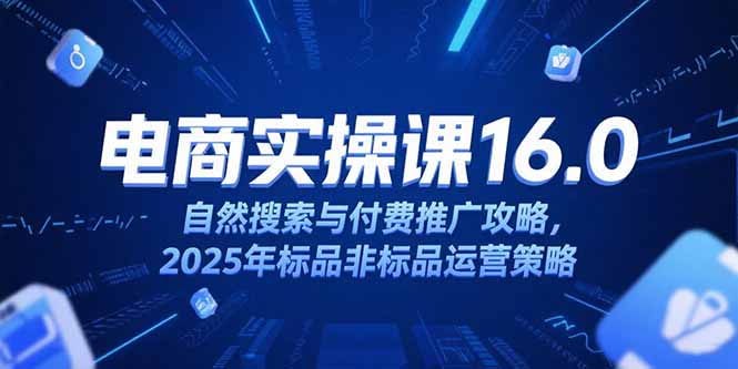 淘宝电商运营课16.0，自然搜索与付费推广攻略，2025年标品非标品运营策略-恒创联盟资源网