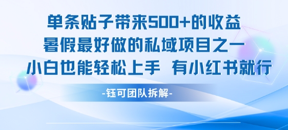 单条贴子带来5张的收益，暑假最好做的私域项目之一，小白也能轻松上手，有小红书就行-恒创联盟资源网