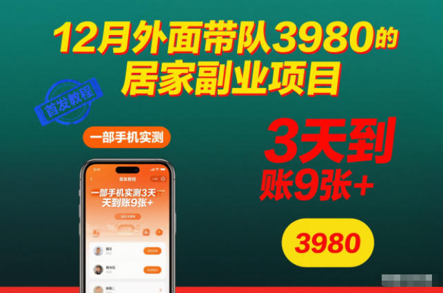 12月外面带队3980的居家副业项目,一部手机实测3天到账9张+,首发教程【揭秘】-恒创联盟资源网