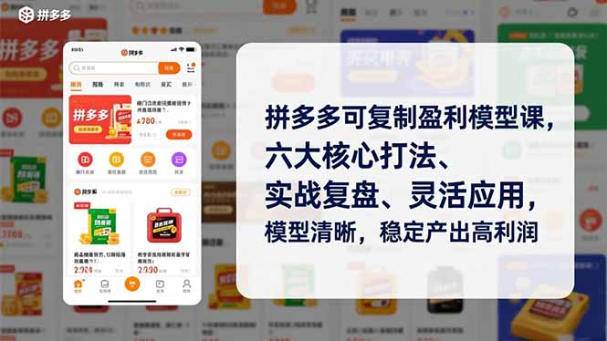 拼多多可复制盈利模型课,六大核心打法、实战复盘、灵活应用,模型清晰,稳定产出高利润-恒创联盟资源网