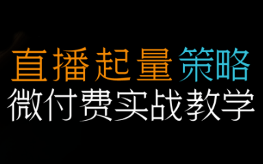 半野老师·直播带货起量与微付费必学课视频号-恒创联盟资源网