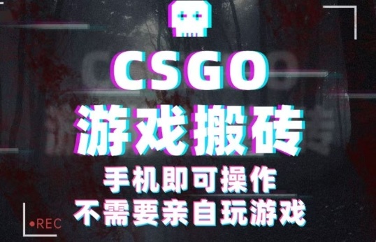 CSGO游戏挂G捡漏,单日扫货5张+,年底小高峰上车可吃肉,手机即可操作,兼职副业创业网创【揭秘】-恒创联盟资源网