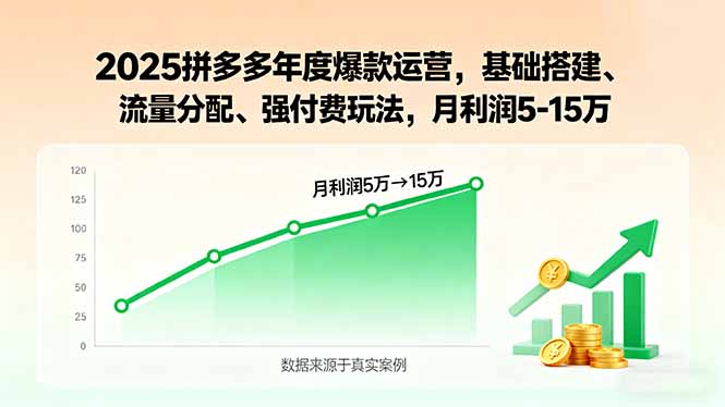 2025拼多多年度爆款运营,基础搭建、流量分配、强付费玩法,月利润5-15万-恒创联盟资源网