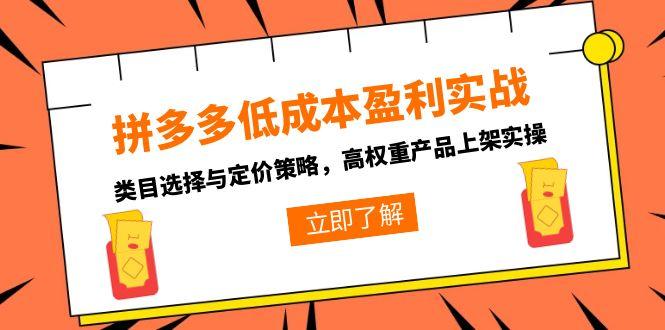 拼多多低成本盈利实战，类目选择与定价策略，高权重产品上架实操-恒创联盟资源网