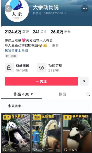 2024年，收集全网各个大佬最新影视解说教程——定期更新