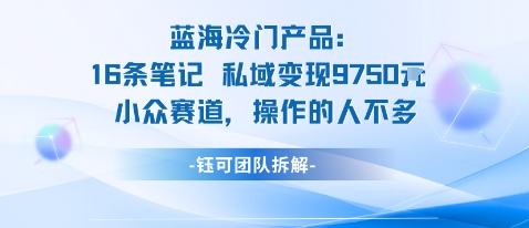 蓝海项目：16条笔记私域变现9750米小众赛道操作的人不多-恒创联盟资源网