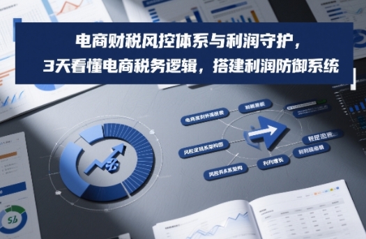 电商财税风控体系与利润守护，3天看懂电商税务逻辑，搭建利润防御系统-恒创联盟资源网