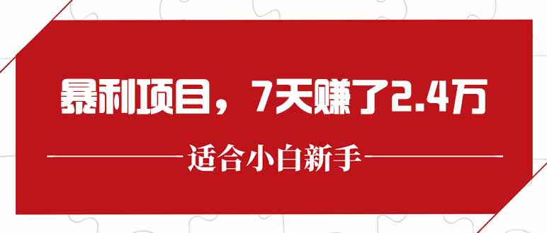 最新暴利项目，每单收益轻松在300以上，7天赚了2.4万-恒创联盟资源网