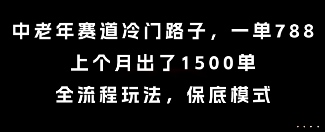 中老年赛道冷门路子，一单788，上个月出了1500单，全流程玩法，保底模式【揭秘】-恒创联盟资源网