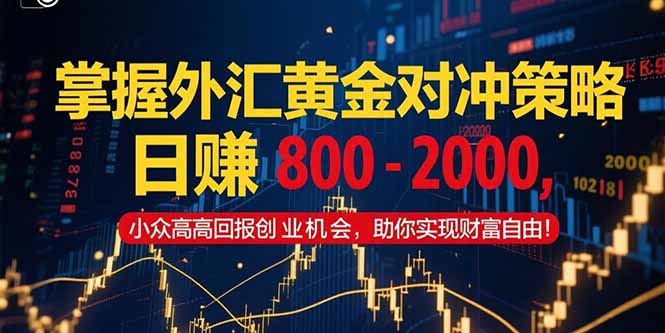 掌握外汇黄金对冲策略，日赚 800 – 2000，小众高回报创业机会，助你实…-恒创联盟资源网