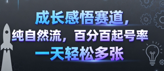 成长感悟赛道，纯自然流，百分百起号率 一天轻松多张-恒创联盟资源网