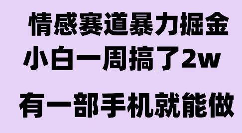 情感暴力掘金项目,新人操作一周挣了2W,长期稳定小白可做【揭秘】-恒创联盟资源网